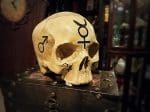 Realistic-Human-Skull-Alchemy-Skull-Occult-Items