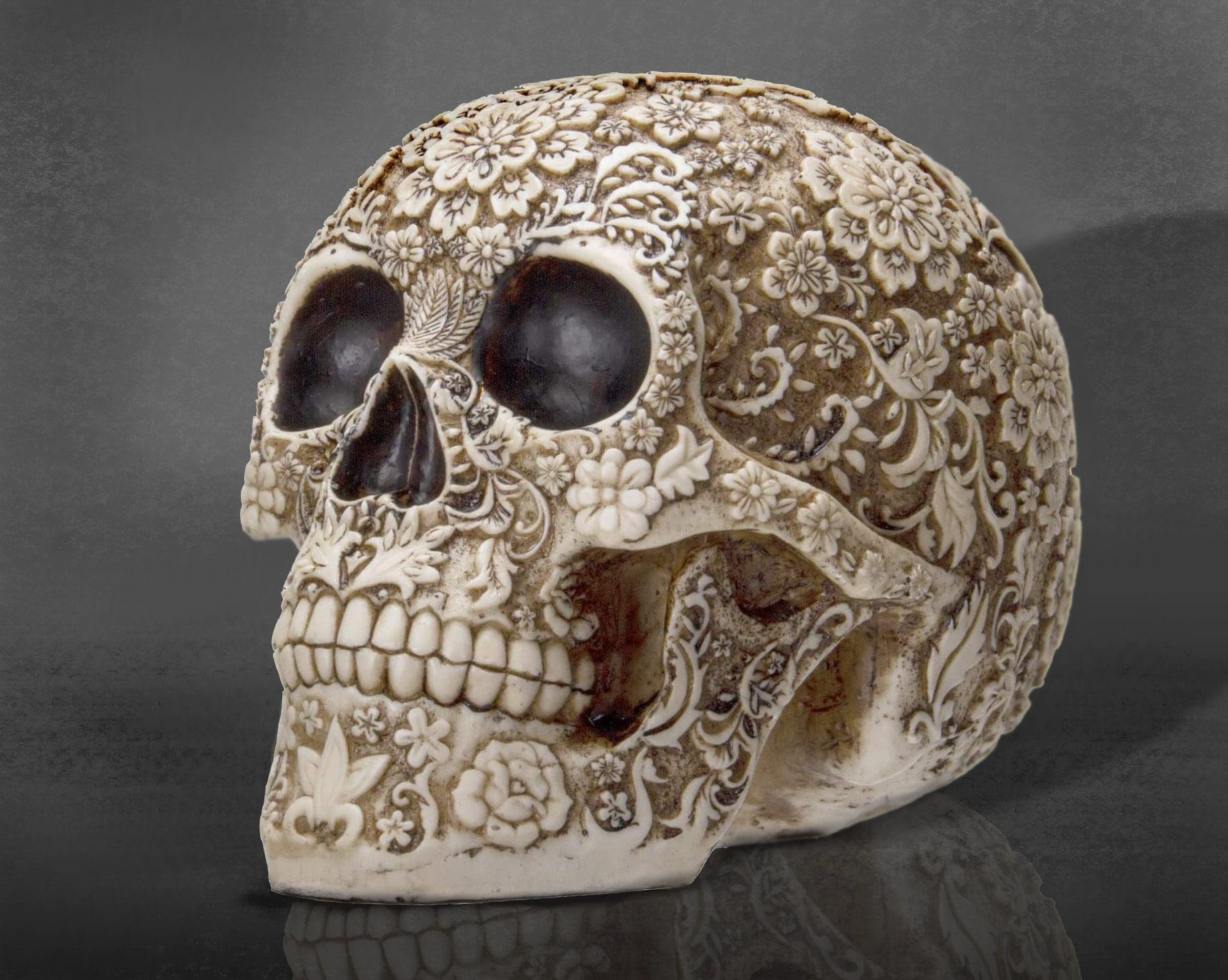 Floral Skull,Gothic Decor,Oddities, Curiosities