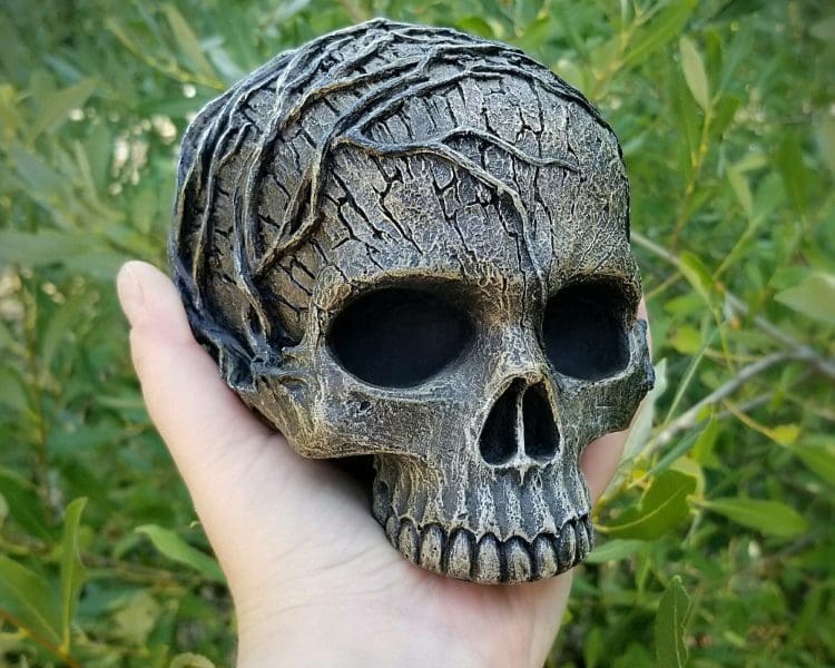 Tree Spirit Skull, Wicca Skull, Human Skull
