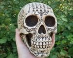 Voodoo Skull, Occult Items, Voodoo, Carved Human Skull
