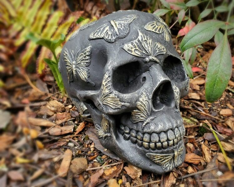 Butterfly Skull, Death Heads Moth, Oddities, Curiosities