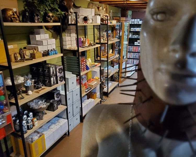 Oddity Shop Grants Pass Oregon, Oddities For Sale