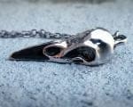 Gothic Jewelry, Silver Bird Skull Necklace, Raven Skull Necklace