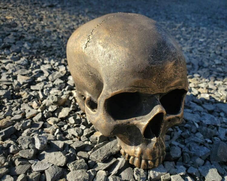 Antique Gold Skull, Gold Human Skull, Gothic Décor