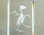 Real Bird Skeleton In Resin, Animal Skeletons in Lucite