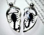 Real Insect Jewelry, Black Scorpion Friendship Necklace, Oddities Gifts, Insects In Resin