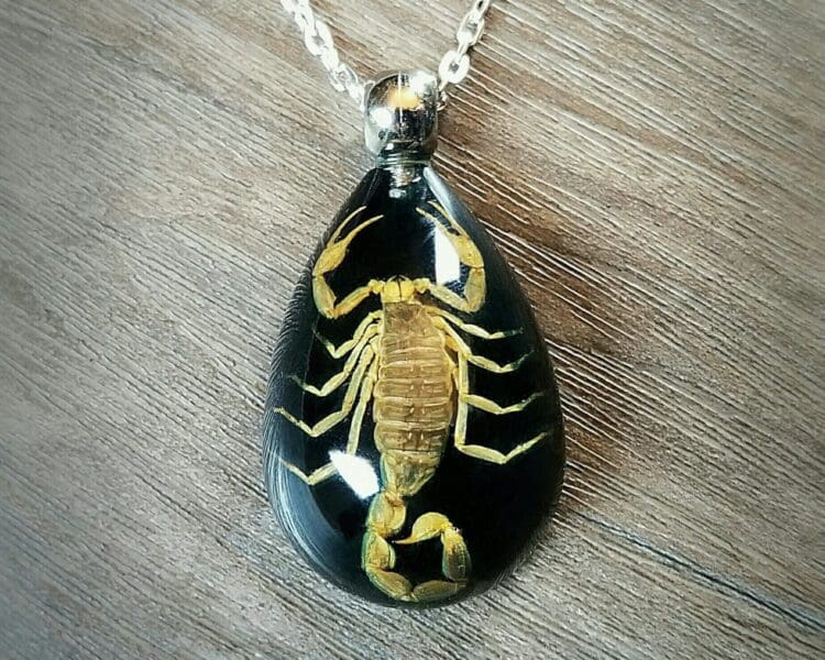 Real Scorpion Necklace, Real Insect Jewelry, Insects In Resin