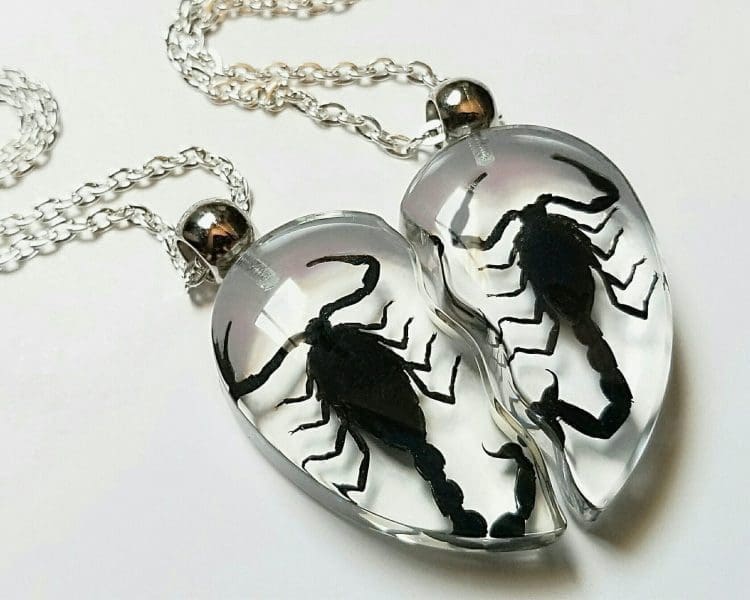 Real Insects In Resin, Real Scorpion Necklace, Oddities, Curiosities