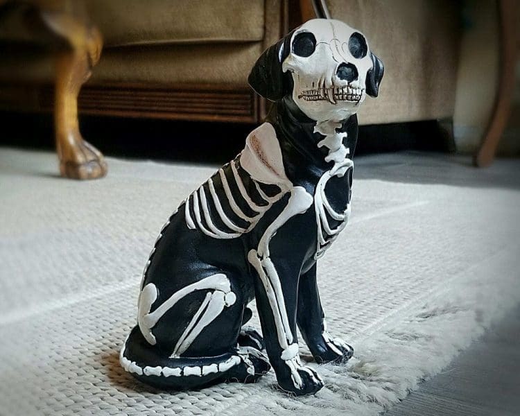 Skeleton Dog Statue, Dog Skeleton Figurine, Gothic Decor, Halloween Decor