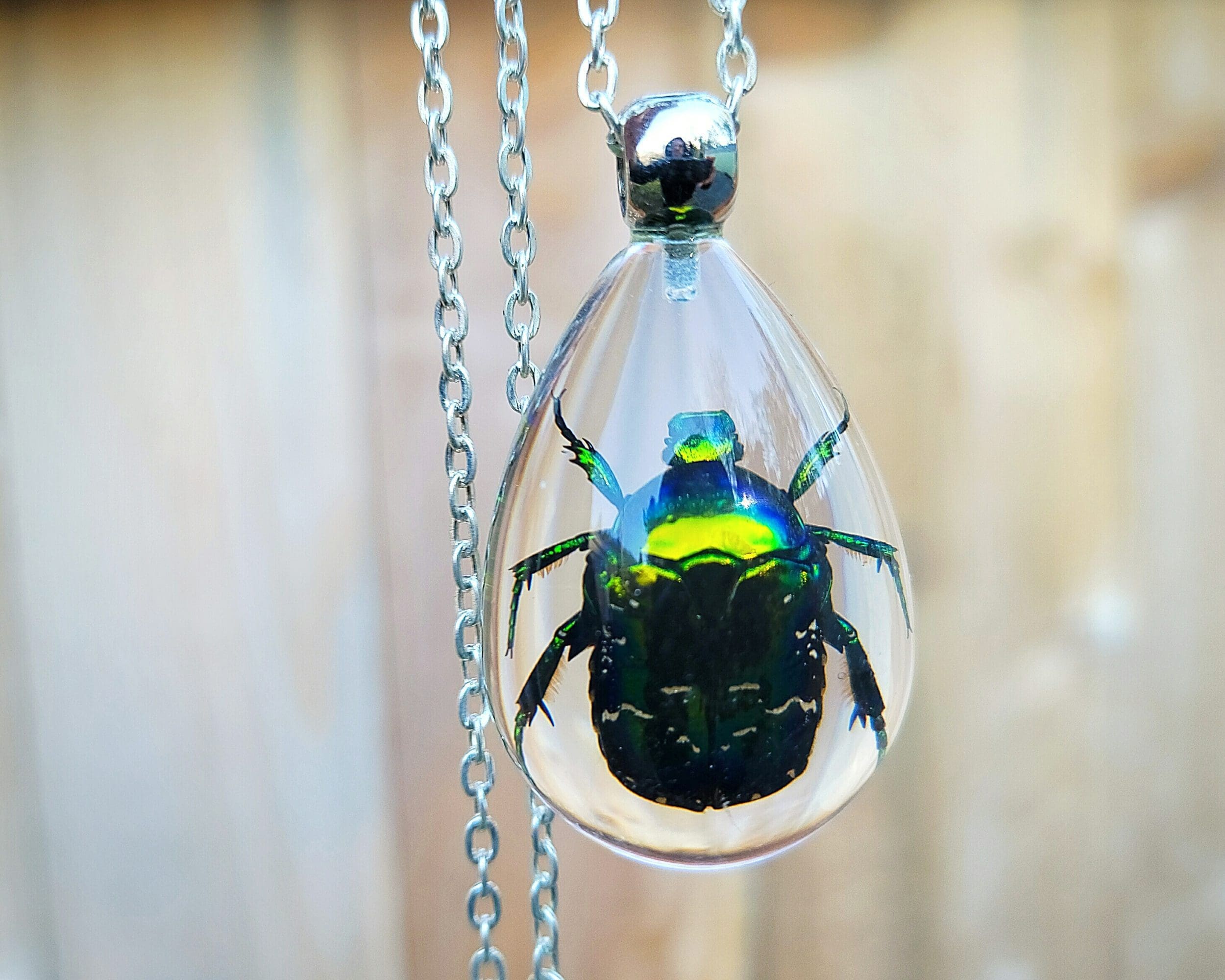 Real Insect Jewelry, Beetle Necklace