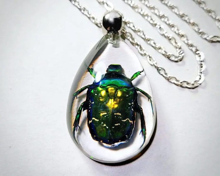 Real Insect Jewelry, Chafer Beetle In Resin, Green Beetle Necklace, Oddities Gifts