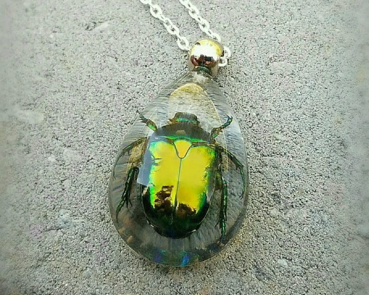 Real Insect Jewelry, Real Beetle Necklace, Insects In Resin