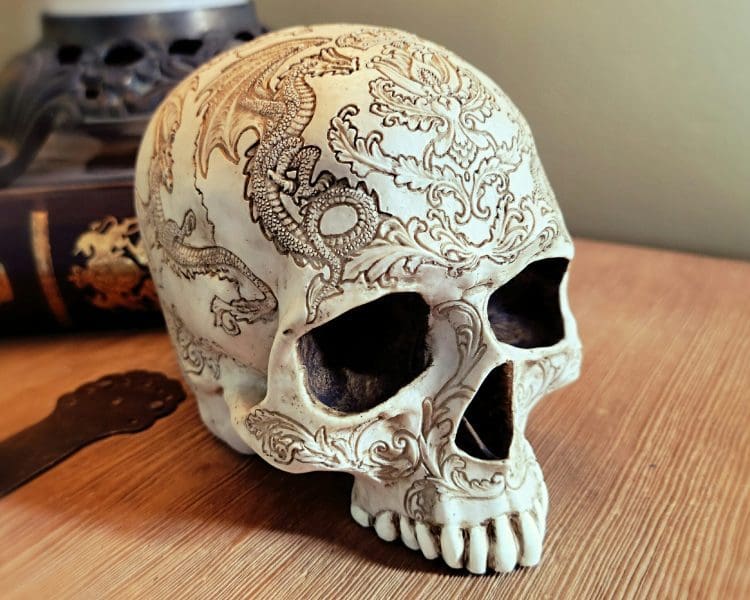 White Carved Skull, Gragon Skull, Gothic Decor