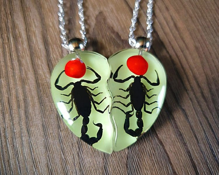 Real Insect Jewelry, Scorpion Heart Necklace, Gothic Friendship Necklace