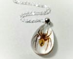 Real Spider Necklace, Real Insect Jewelry, Gothic Jewelry