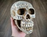 Ouija Skull, Carved Human Skull, Gothic Decor